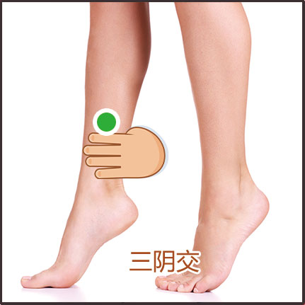 腎陽(yáng)虛、虛寒體質(zhì)貼敷位置示意圖